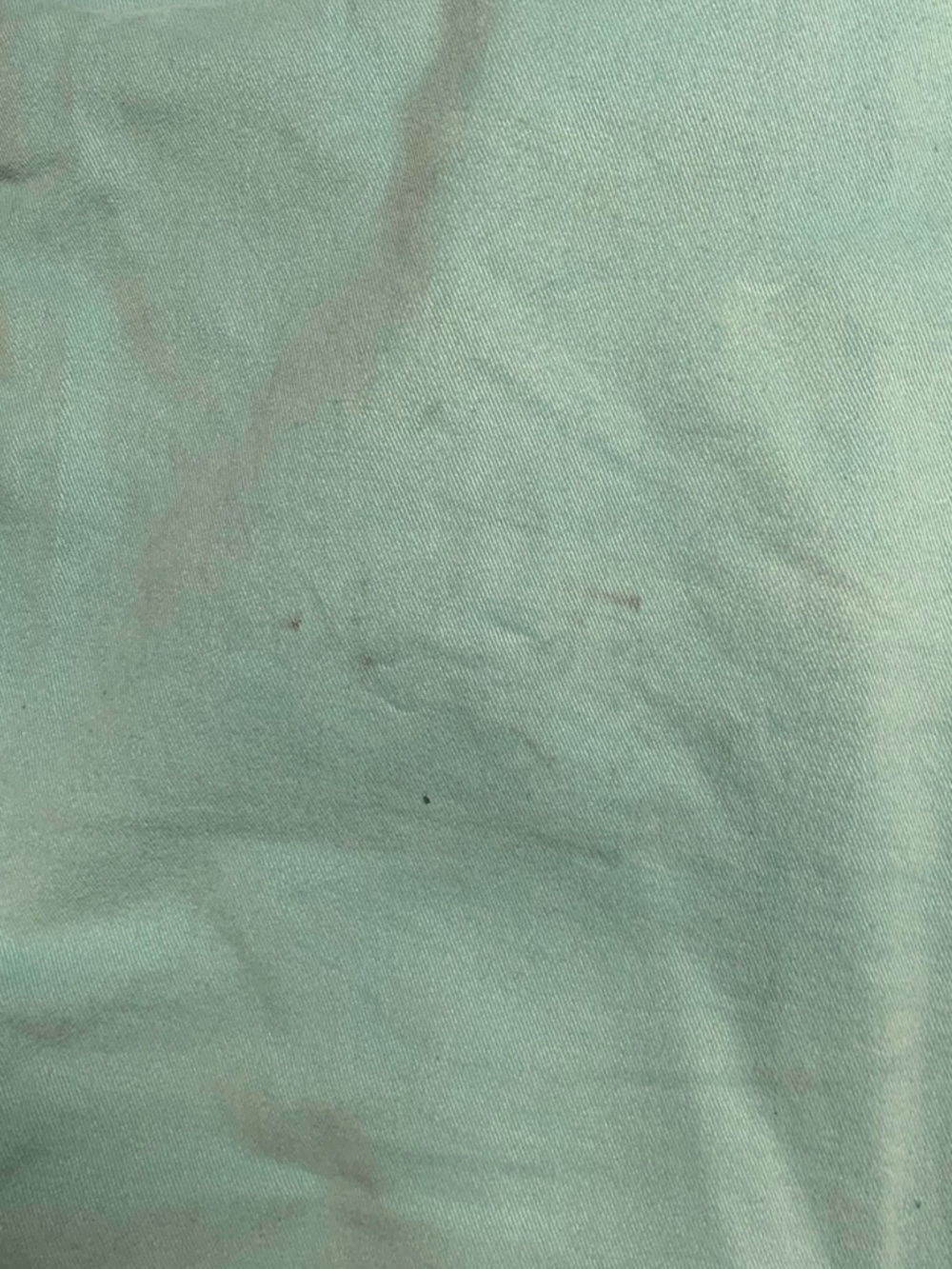 Denim & Flower Teal Shorts with Floral Lining - Picture 5 of 6